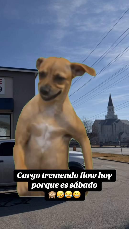 TikTok video thumbnail by principe_de_princess