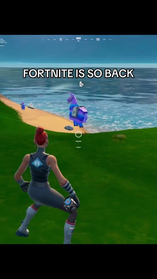 TikTok video thumbnail by tt.pebbles
