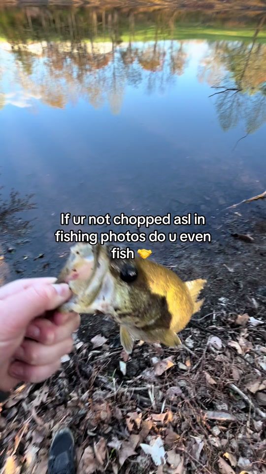 TikTok video thumbnail by cursedfishing