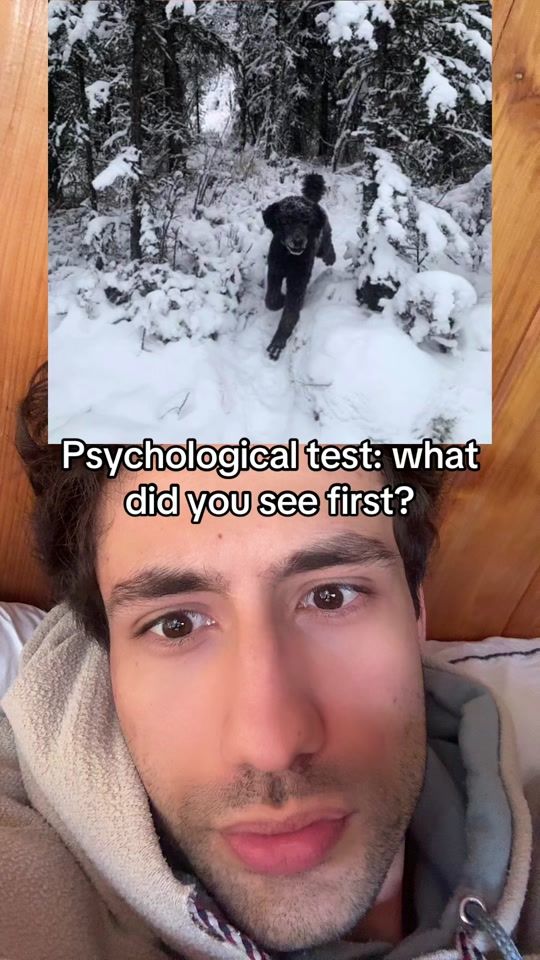 TikTok video thumbnail by howmindswork