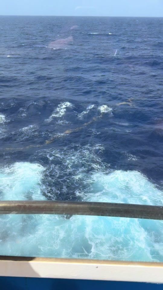 TikTok video thumbnail by kendra_deene18