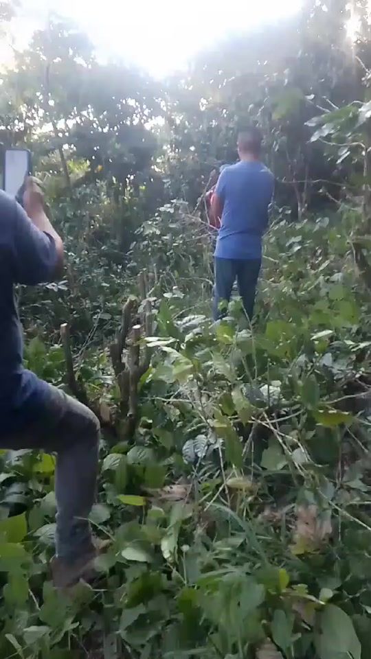 TikTok video thumbnail by lopez48915