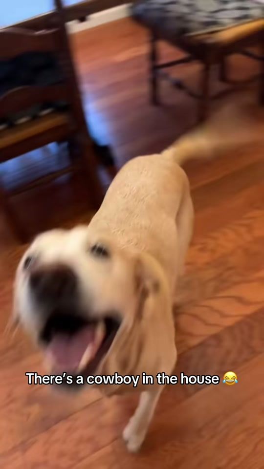 TikTok video thumbnail by barstoolsports