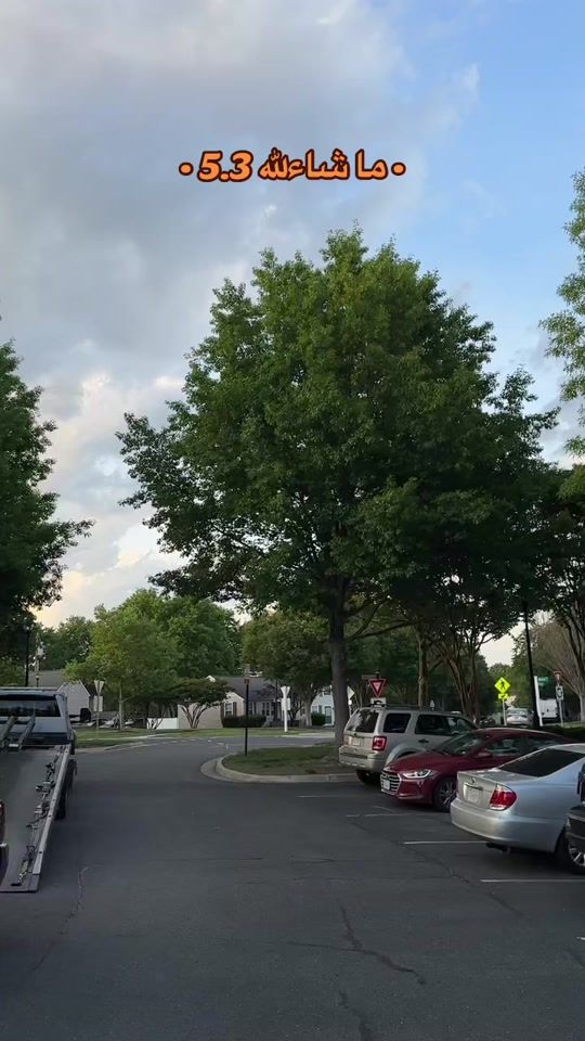 TikTok video thumbnail by 0.db
