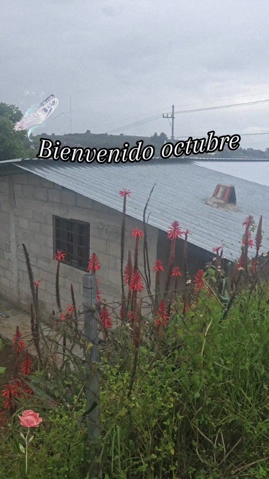 TikTok video thumbnail by azvictoriasellsproperty