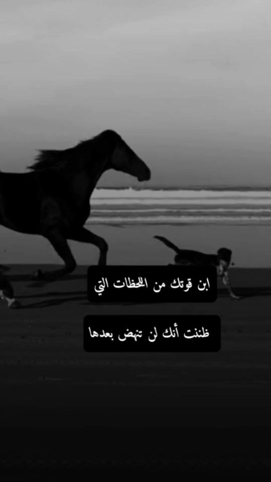 TikTok video thumbnail by ec6oc