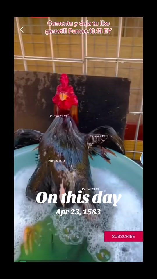 TikTok video thumbnail by pumas1313