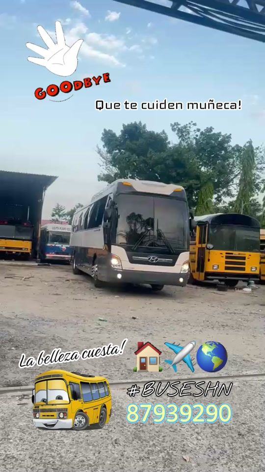 TikTok video thumbnail by buseshn_almillon