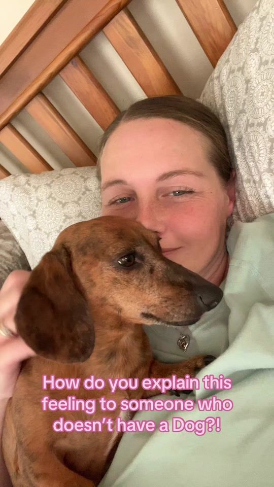 TikTok video thumbnail by 2littledoxiedogs