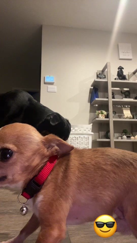 TikTok video thumbnail by iamm.myla