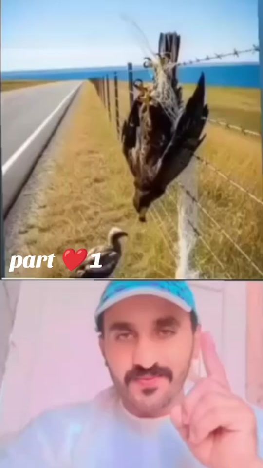 TikTok video thumbnail by mosakhan968