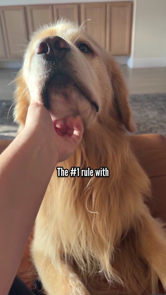 TikTok video thumbnail by goldengirl_xena