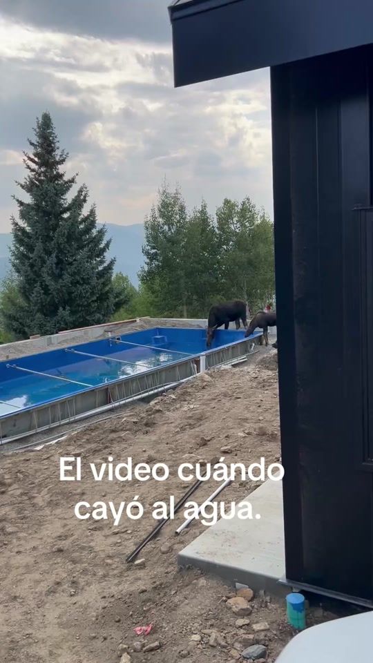 TikTok video thumbnail by raquelpompa79