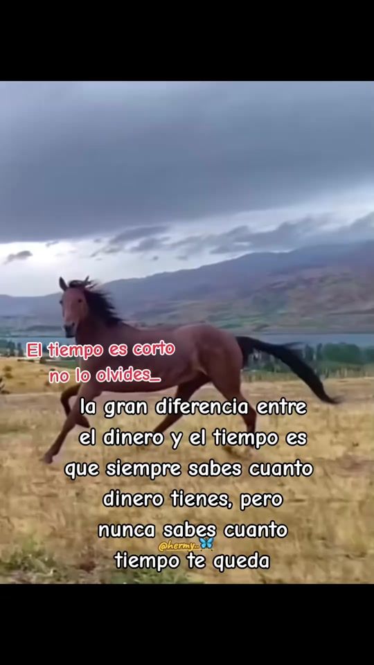 TikTok video thumbnail by hermy_502