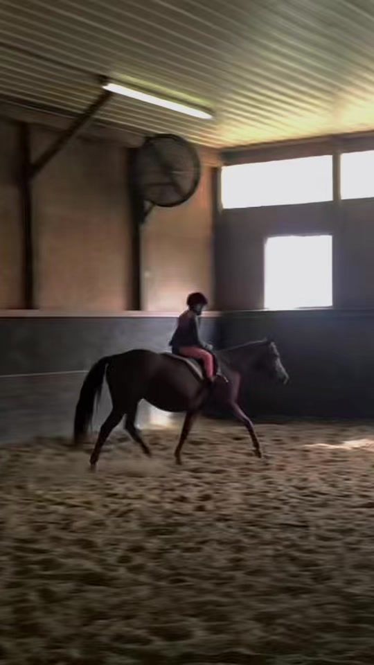 TikTok video thumbnail by carrie7202