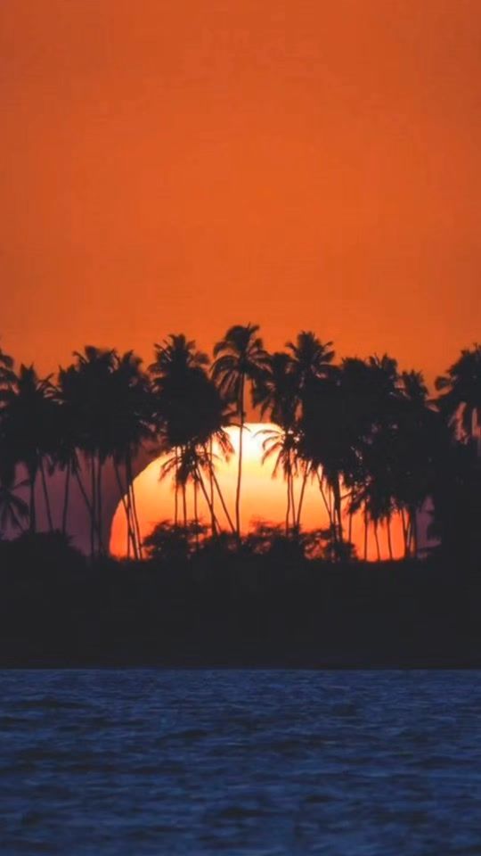 TikTok video thumbnail by music_alfred1