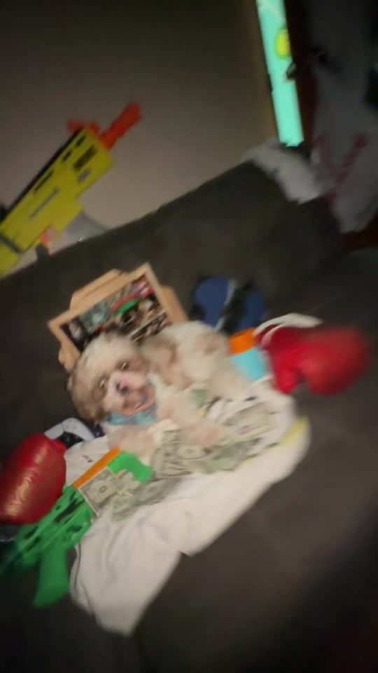 TikTok video thumbnail by simbilla12