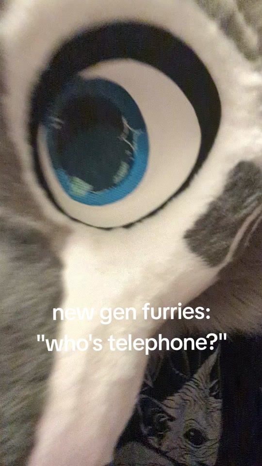 TikTok video thumbnail by wolfspore