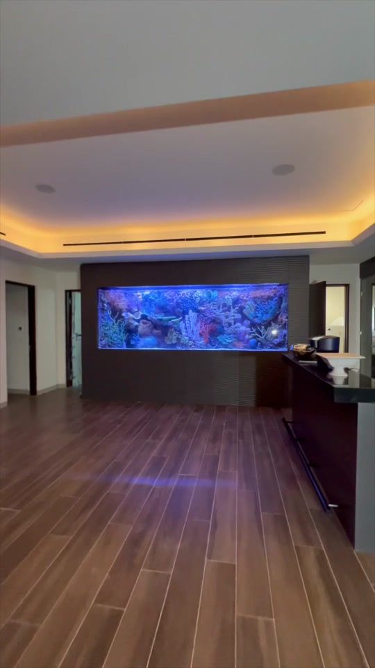 TikTok video thumbnail by infinityaquariums