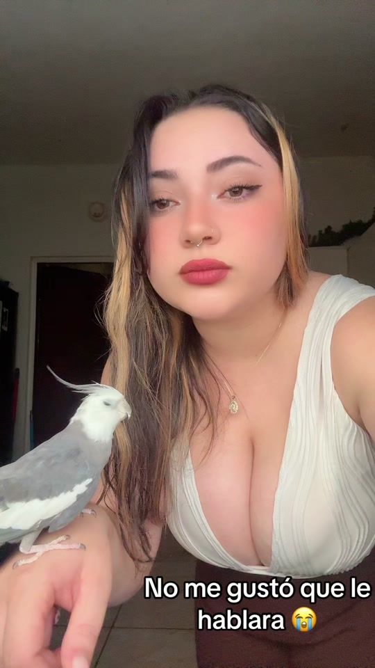TikTok video thumbnail by josidelysrivera