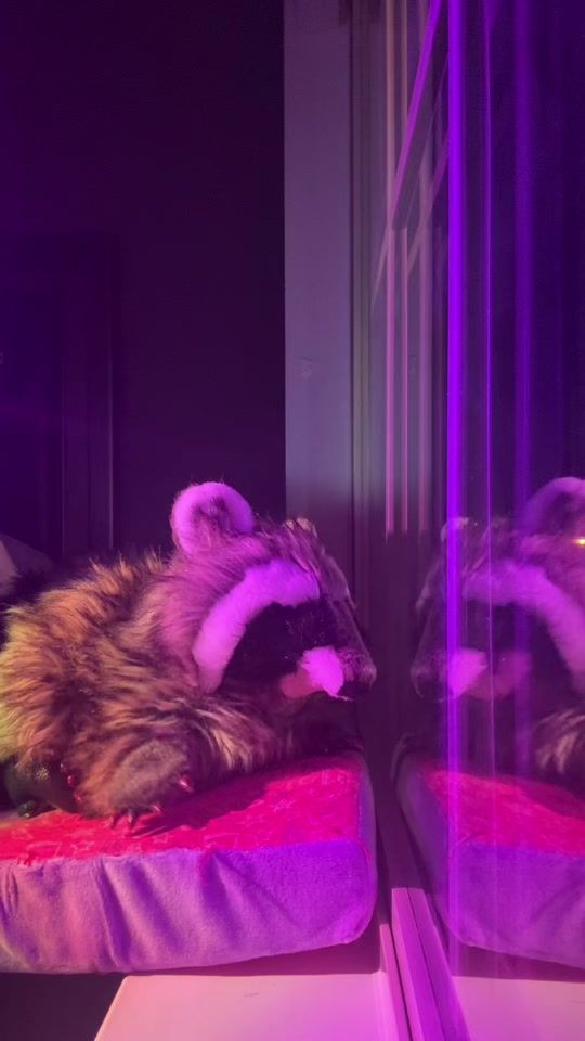 TikTok video thumbnail by howcookiecrumbles