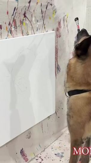 TikTok video thumbnail by omarvonmuller