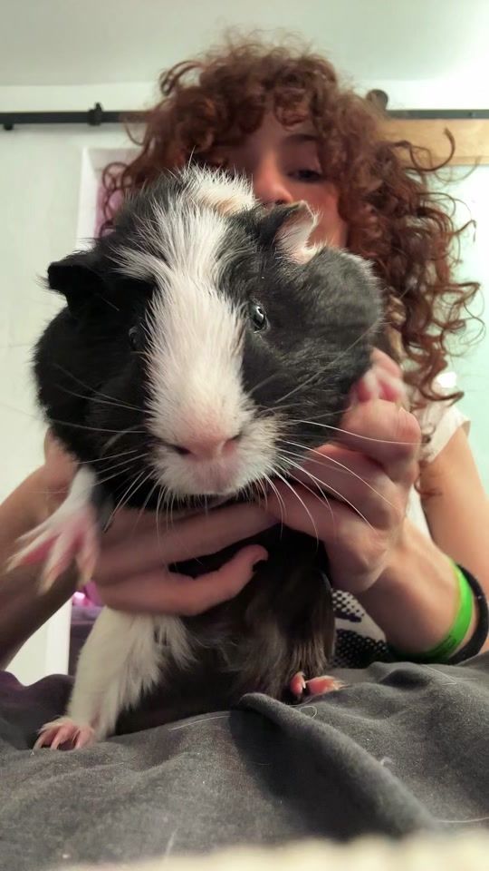 TikTok video thumbnail by raivip1