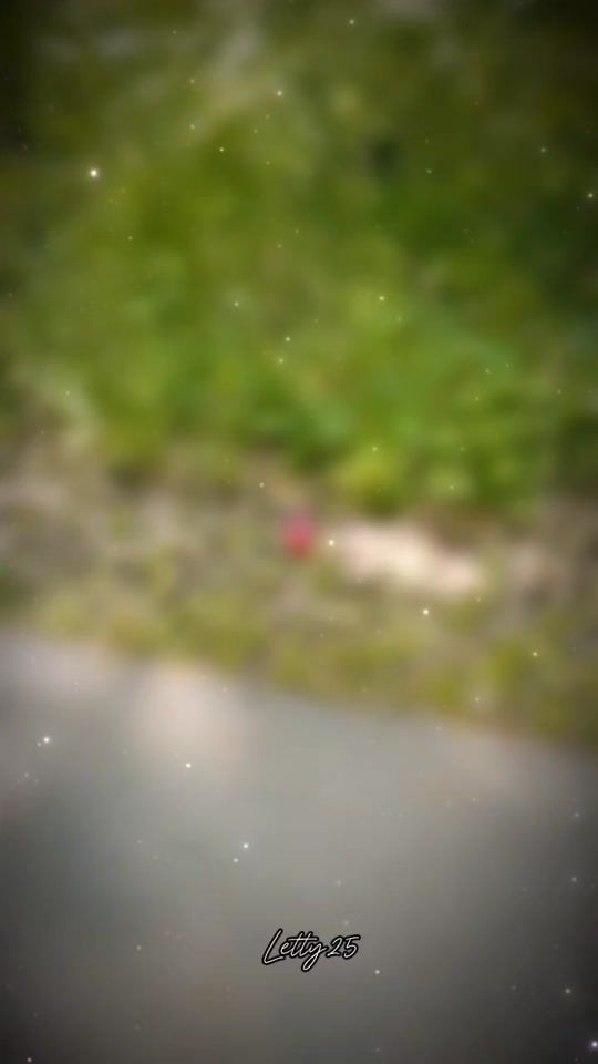 TikTok video thumbnail by janellyvilchez4