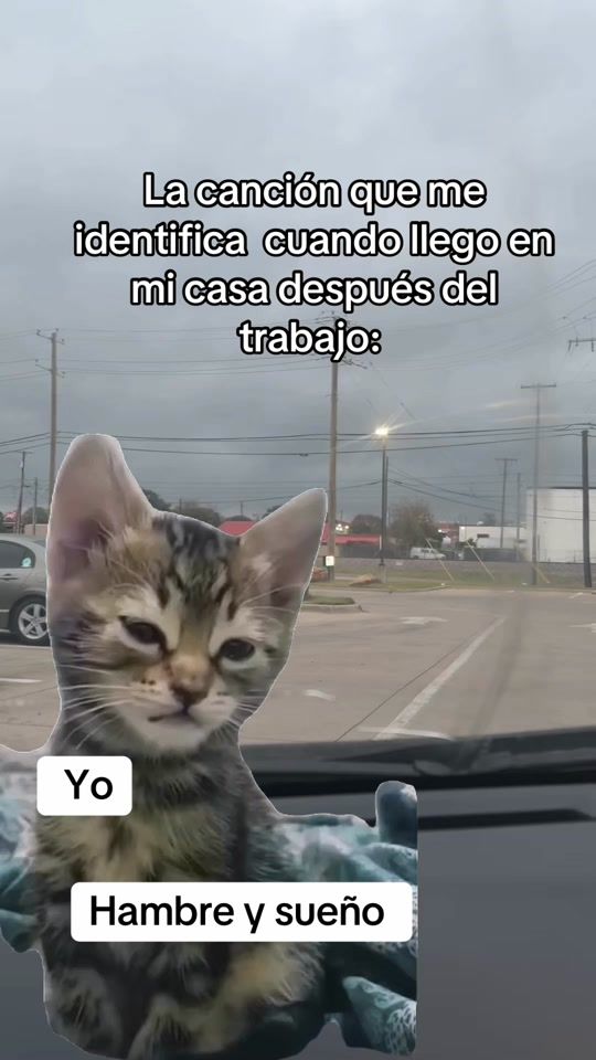TikTok video thumbnail by luzquintero935