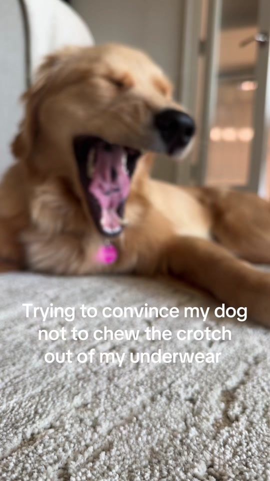 TikTok video thumbnail by ilovecandycrush7