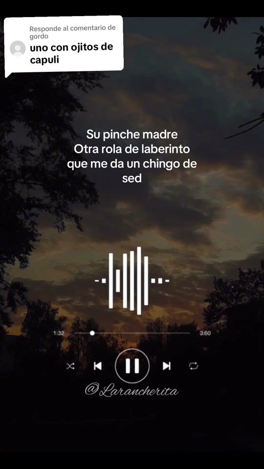 TikTok video thumbnail by laranchera07