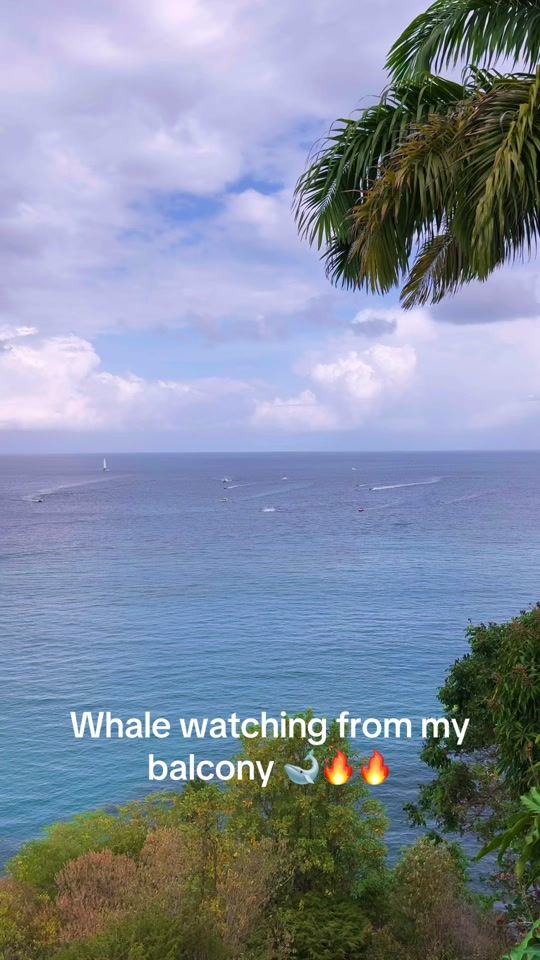 TikTok video thumbnail by soonsunvibes
