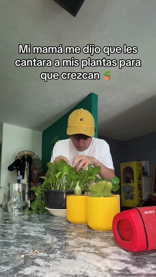 TikTok video thumbnail by soyelpollito30