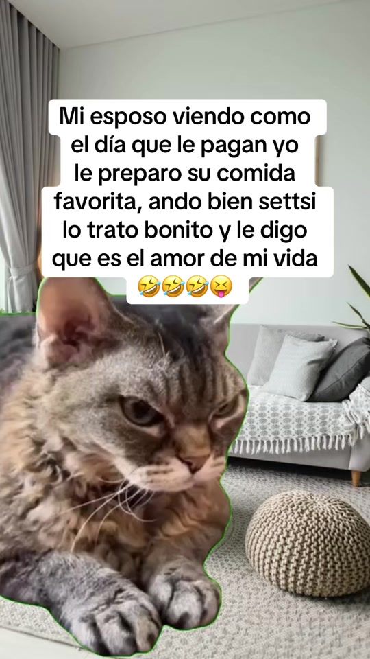 TikTok video thumbnail by amorsito_corazon18