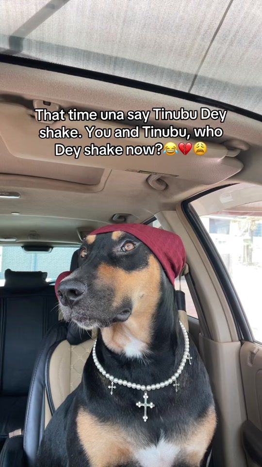 TikTok video thumbnail by zeldadiaries