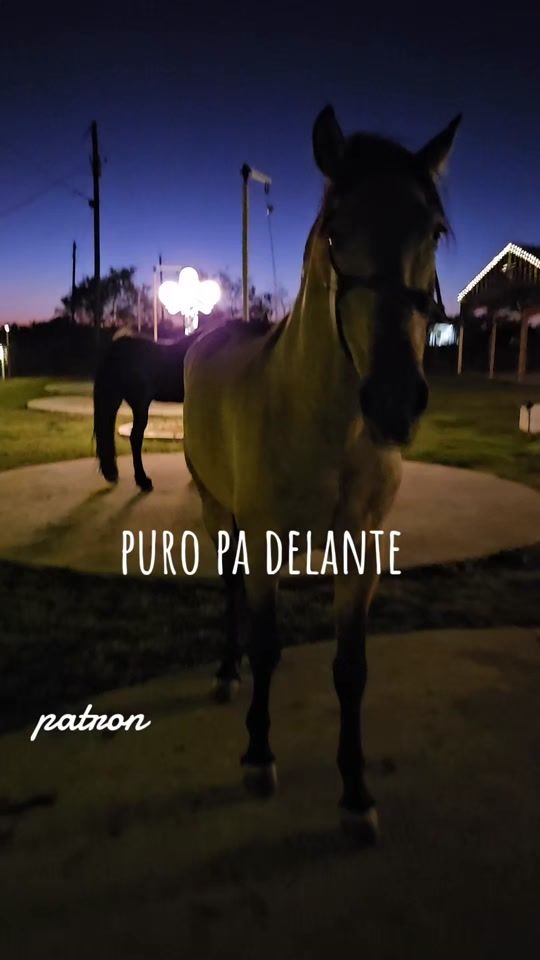 TikTok video thumbnail by raymartinez992