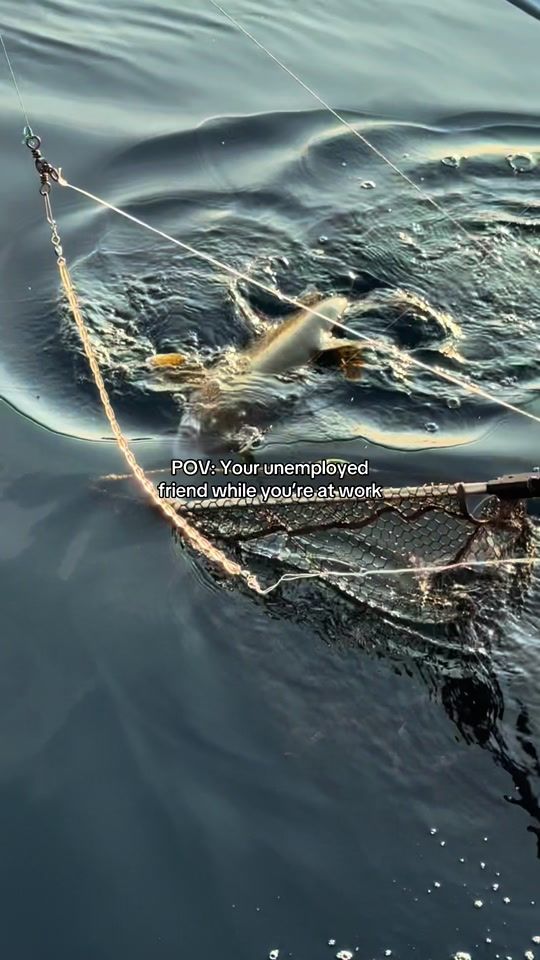 TikTok video thumbnail by mbk5.3