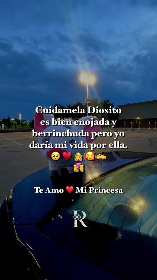 TikTok video thumbnail by frase986