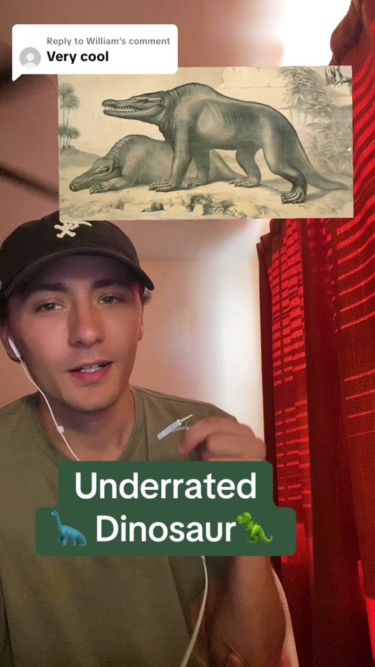TikTok video thumbnail by goobris