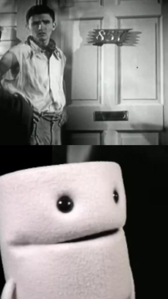 TikTok video thumbnail by thetoiley