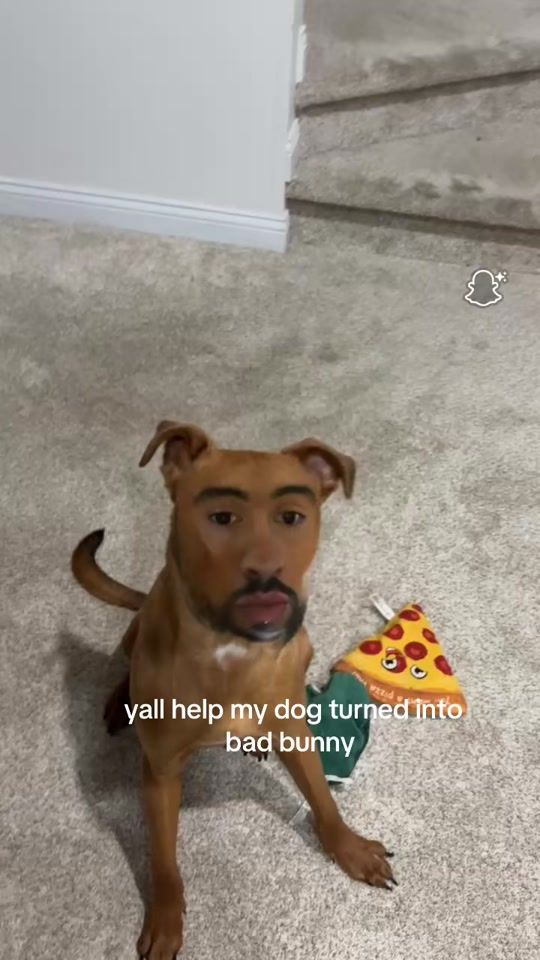 TikTok video thumbnail by 35justjassy