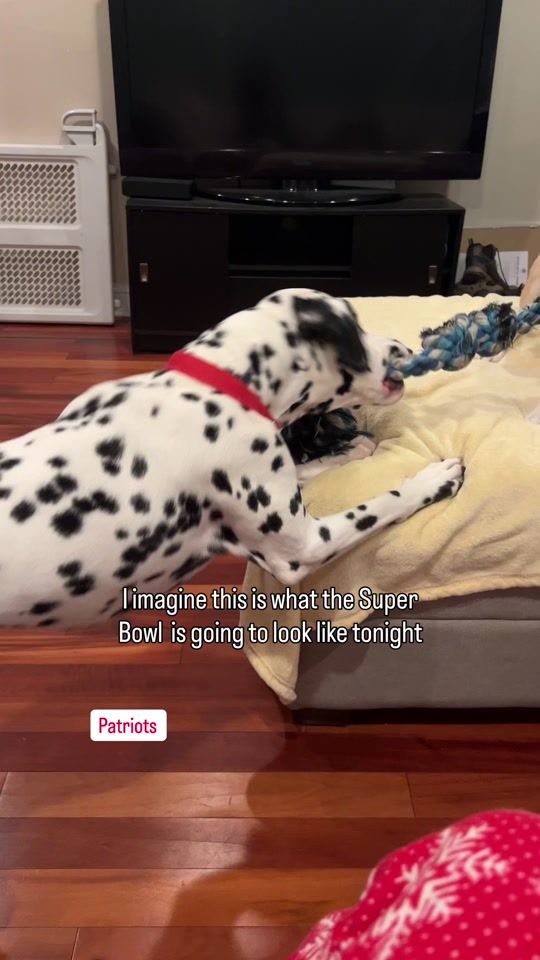 TikTok video thumbnail by rachelishaa