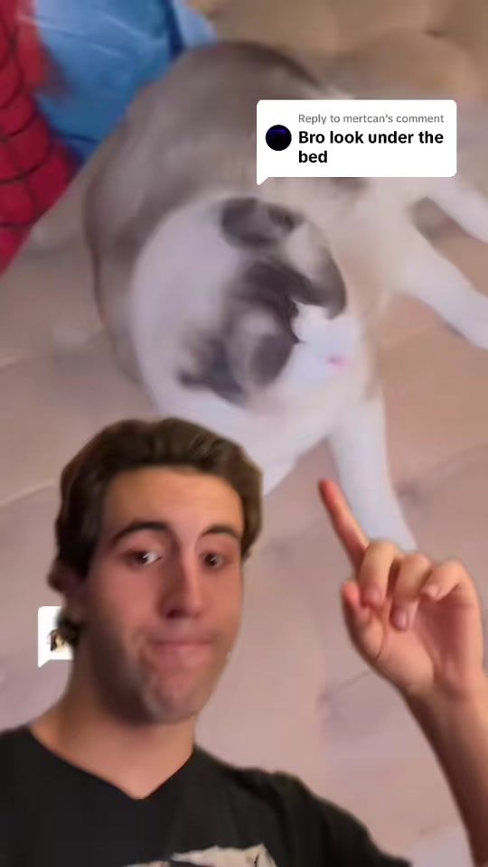 TikTok video thumbnail by ayokaio