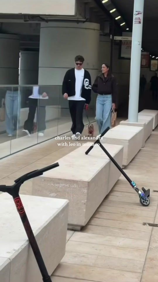 TikTok video thumbnail by asm_wags16