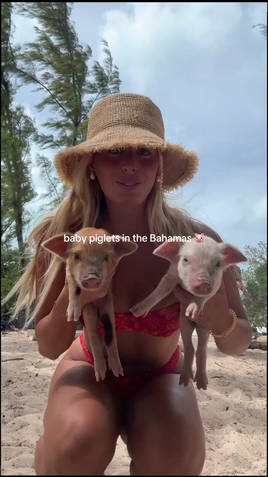 TikTok video thumbnail by kellypickup1
