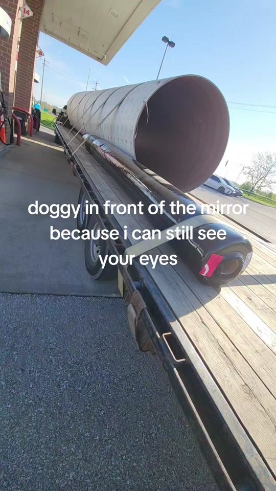 TikTok video thumbnail by lincoln9315