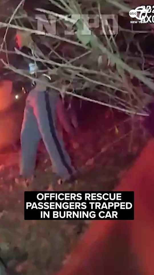 TikTok video thumbnail by abc7ny