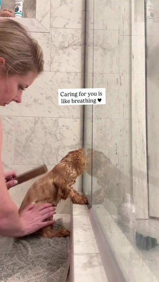 TikTok video thumbnail by cappybears