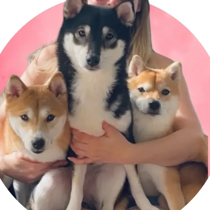 @flockofshibas