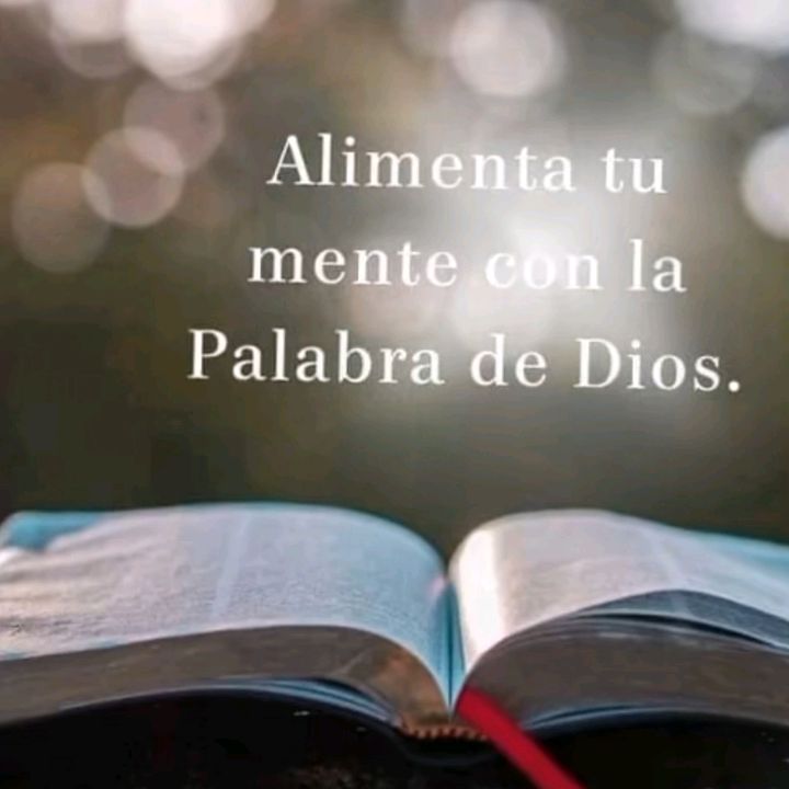 𝕯𝖎𝖔𝖘 𝖊𝖘 𝖆𝖒𝖔𝖗 📖 - original sound - palabradeedificacion1